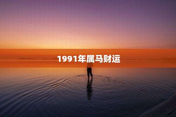 1991年属马财运