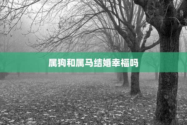 属狗和属马结婚幸福吗