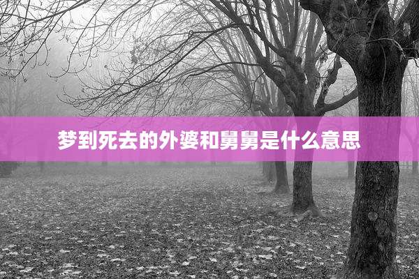 梦到死去的外婆和舅舅是什么意思