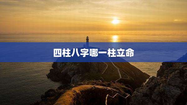 四柱八字哪一柱立命