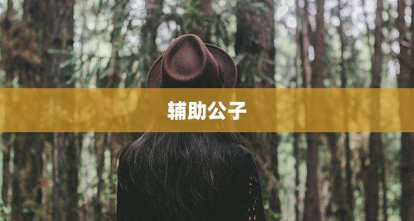 辅助公子