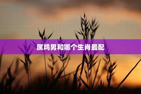 属鸡男和哪个生肖最配