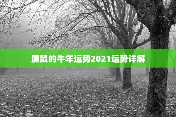 属鼠的牛年运势2021运势详解