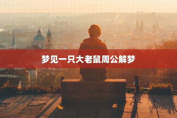梦见一只大老鼠周公解梦