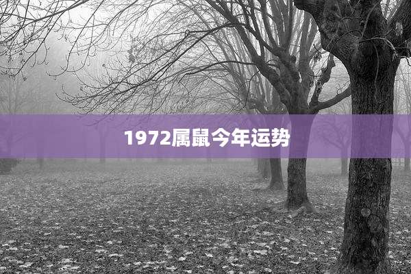 1972属鼠今年运势