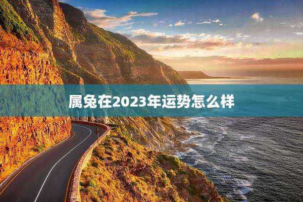 属兔在2023年运势怎么样