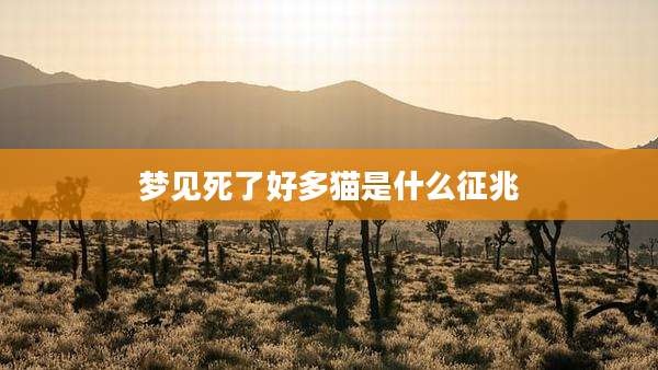 梦见死了好多猫是什么征兆