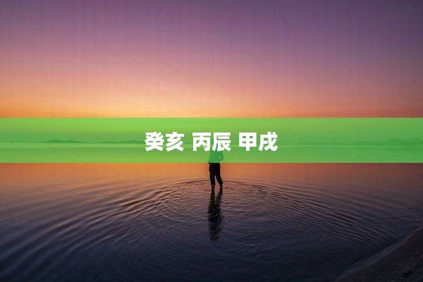 癸亥 丙辰 甲戌