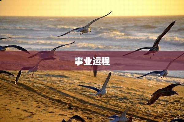 事业运程