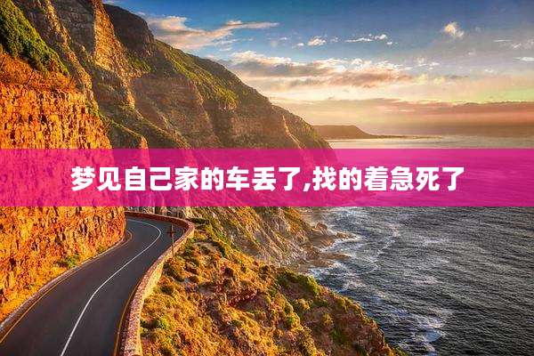 梦见自己家的车丢了,找的着急死了