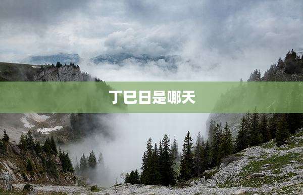 丁巳日是哪天