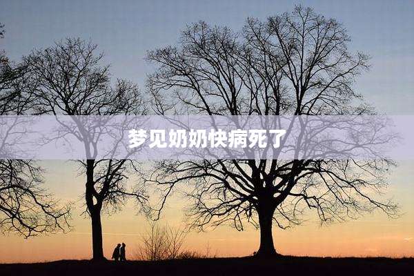 梦见奶奶快病死了