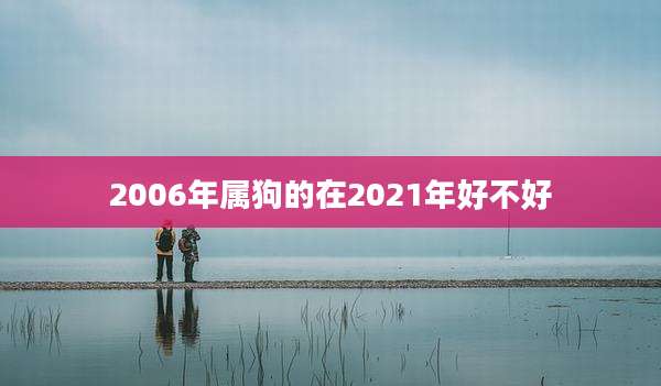 2006年属狗的在2021年好不好