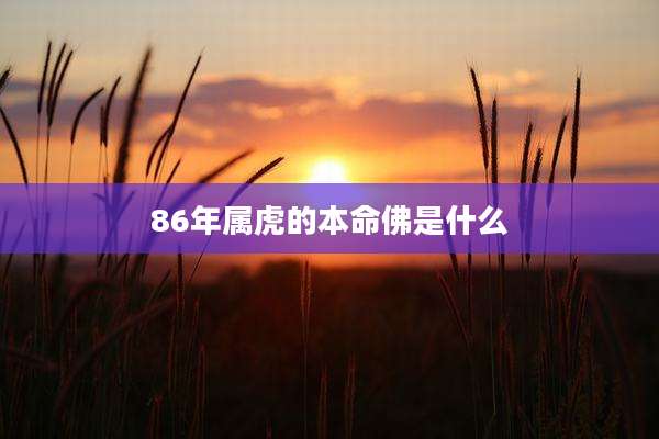 86年属虎的本命佛是什么