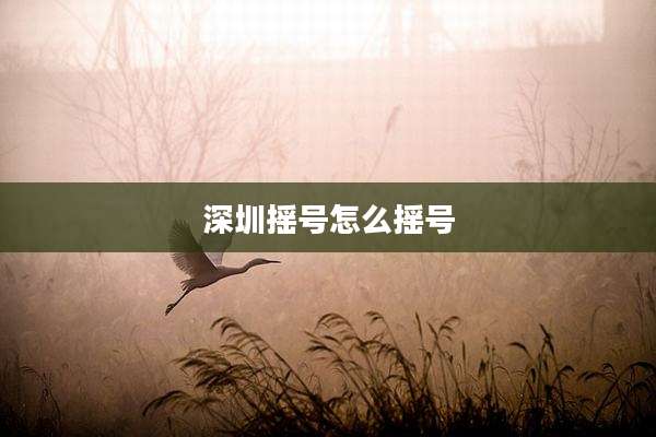 深圳摇号怎么摇号