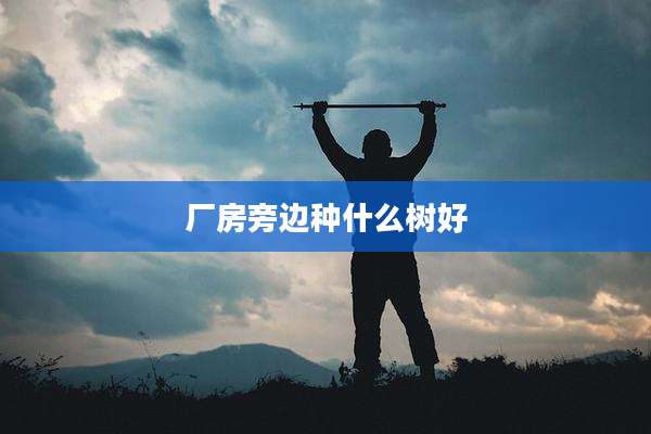 厂房旁边种什么树好
