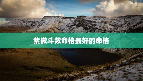紫微斗数命格最好的命格