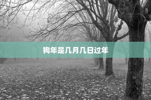 狗年是几月几日过年