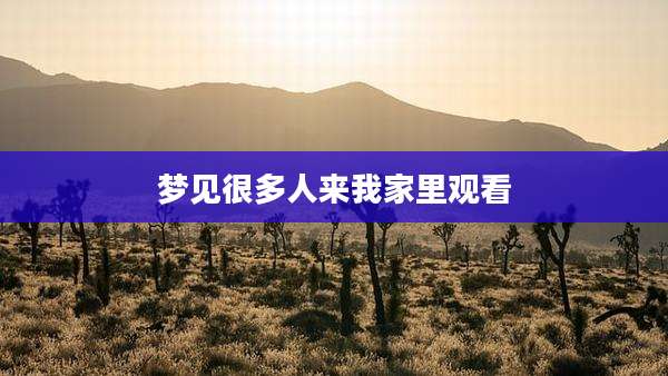梦见很多人来我家里观看