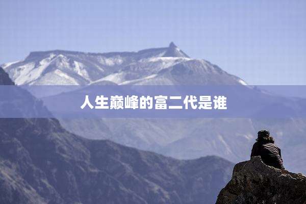 人生巅峰的富二代是谁
