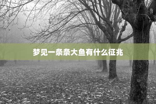 梦见一条条大鱼有什么征兆