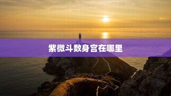 紫微斗数身宫在哪里