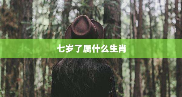 七岁了属什么生肖