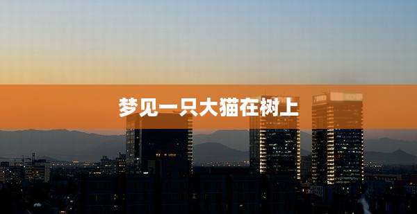 梦见一只大猫在树上
