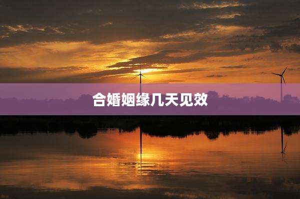 合婚姻缘几天见效