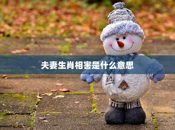 夫妻生肖相害是什么意思