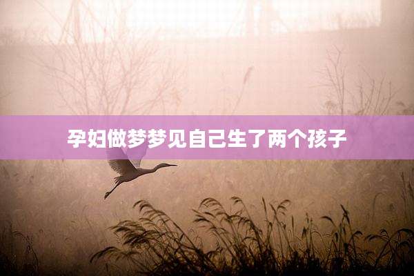 孕妇做梦梦见自己生了两个孩子