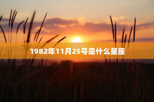 1982年11月25号是什么星座