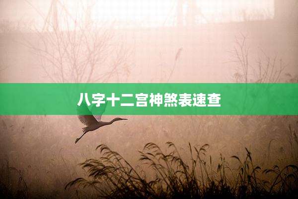 八字十二宫神煞表速查