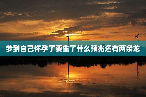 梦到自己怀孕了要生了什么预兆还有两条龙