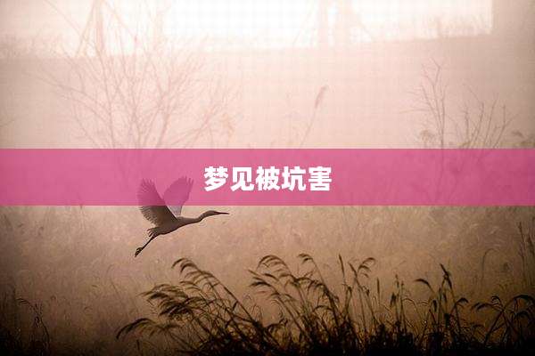 梦见被坑害