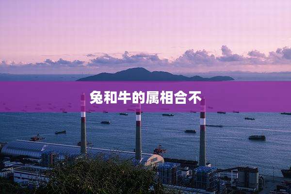 兔和牛的属相合不