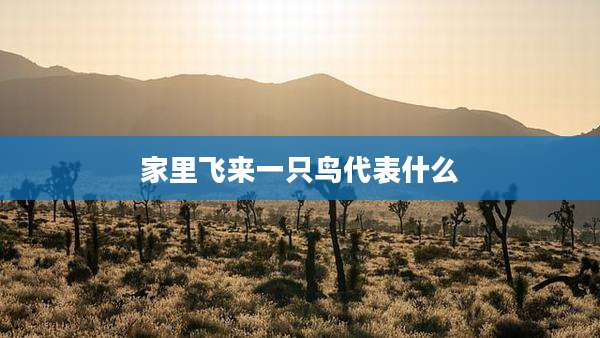 家里飞来一只鸟代表什么