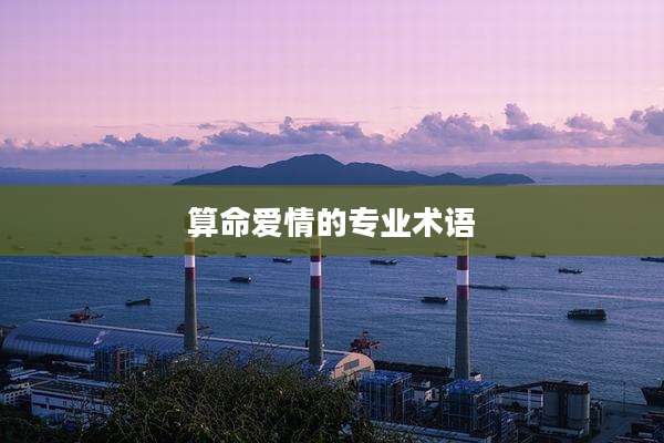 算命爱情的专业术语