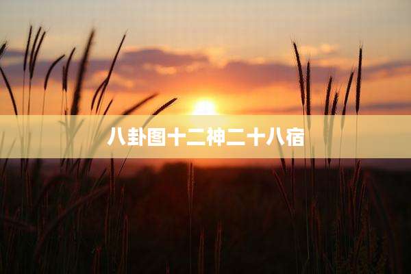 八卦图十二神二十八宿