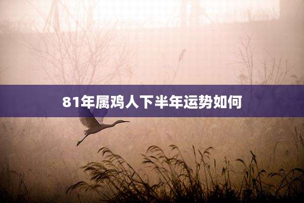 81年属鸡人下半年运势如何