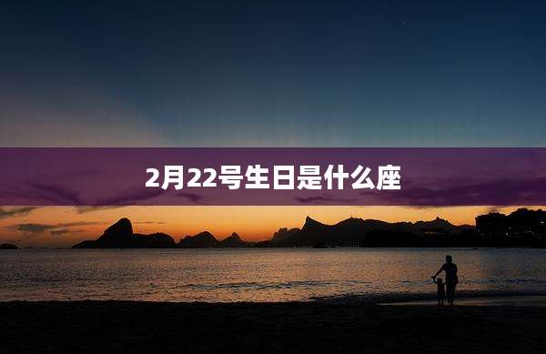 2月22号生日是什么座