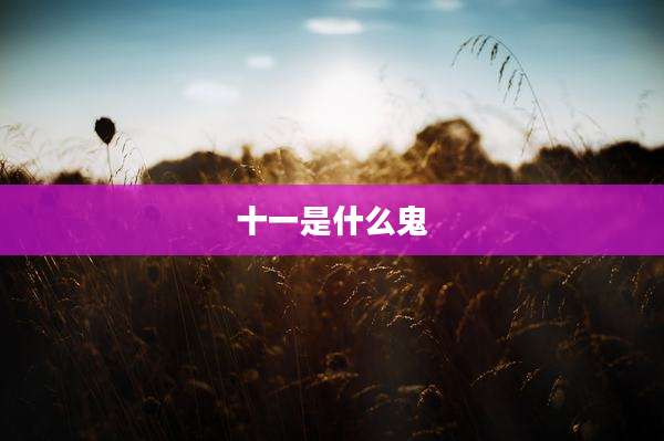 十一是什么鬼