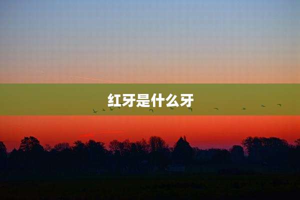 红牙是什么牙