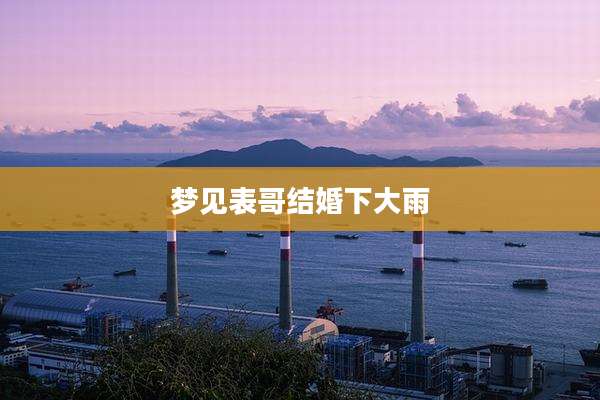 梦见表哥结婚下大雨