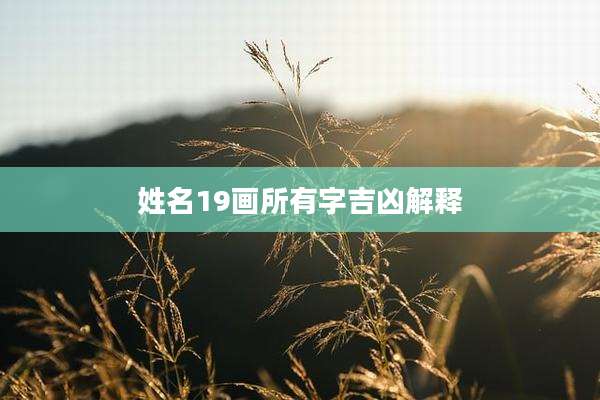 姓名19画所有字吉凶解释