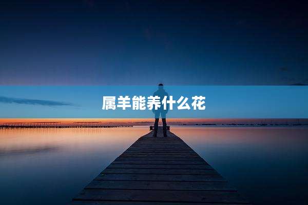 属羊能养什么花
