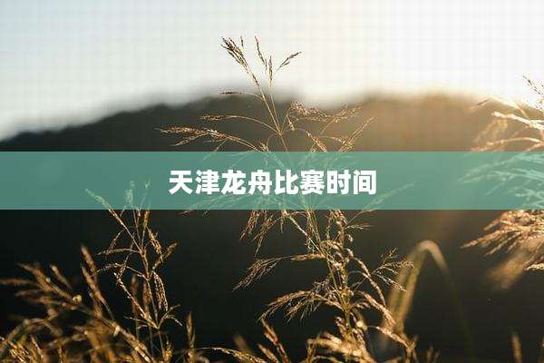 天津龙舟比赛时间
