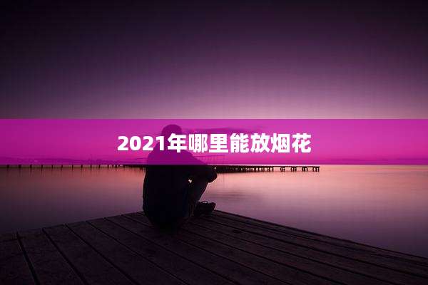 2021年哪里能放烟花