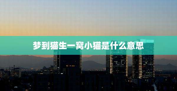 梦到猫生一窝小猫是什么意思