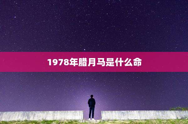 1978年腊月马是什么命